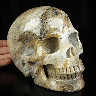 Lifesized 6.5" Sagenitic Agate Hand Carved Crystal Skull, Realistic, Crystal Healing
