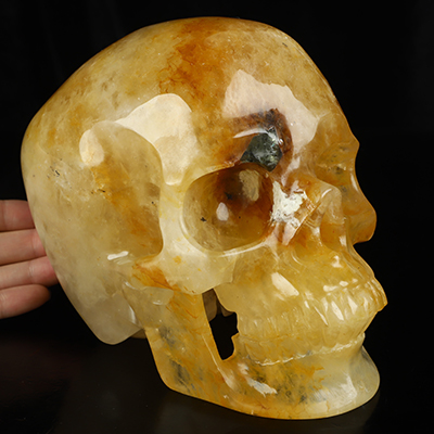 Sept 13, 2026 ACSAD (A Crystal Skull a Day) - Relic of Dawn - Lifesized 6.9" Golden Healer Quartz Hand Carved Crystal Skull, Super Realistic, Crystal Healing