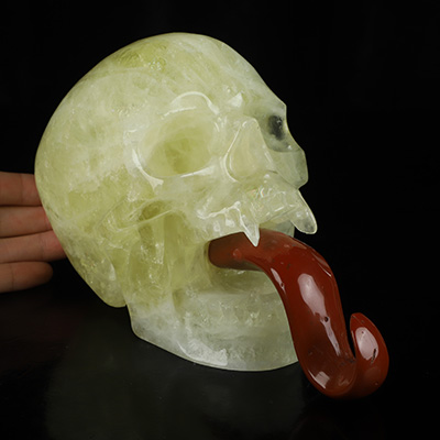 7.4" Citrine Hand Carved Vampire Crystal Skull and Red Jasper Tongue Sculpture, Crystal Healing
