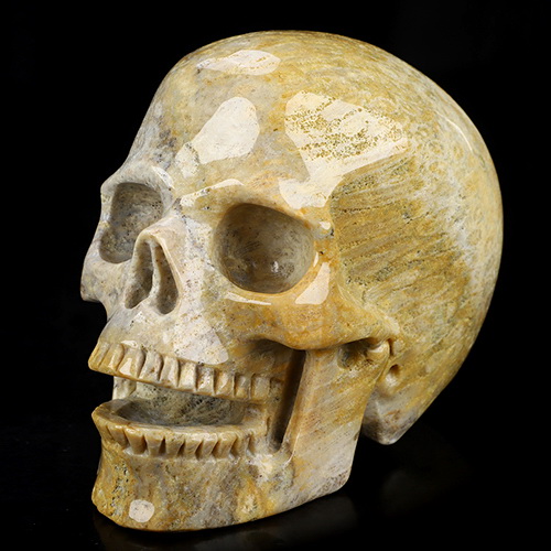 5.0" Coral Fossil Hand Carved Singing Crystal Skull Sculpture, Crystal Healing