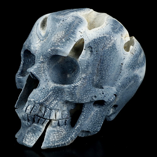 5.1" Blue Ridge Coral Hand Carved Crystal Skull, Realistic, Crystal Healing