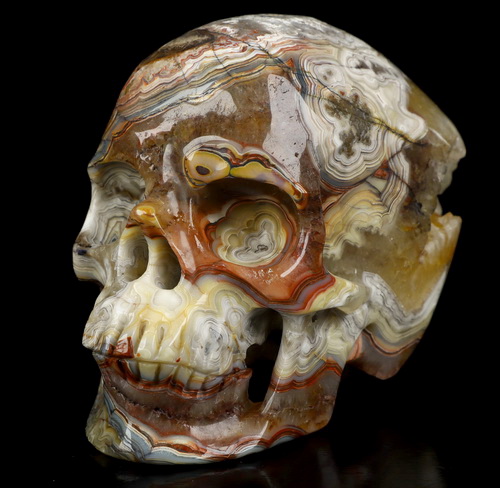 Gemstone 5.0" Red Crazy Lace Agate Hand Carved Crystal Skull, Super Realistic, Crystal Healing