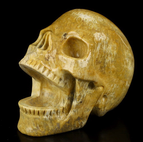 5.2" Coral Fossil Hand Carved Laughing Crystal Skull Sculpture, Crystal Healing