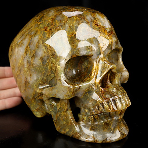 Lifesized 6.4" New Pietersite Hand Carved Crystal Skull, Super Realistic, Crystal Healing
