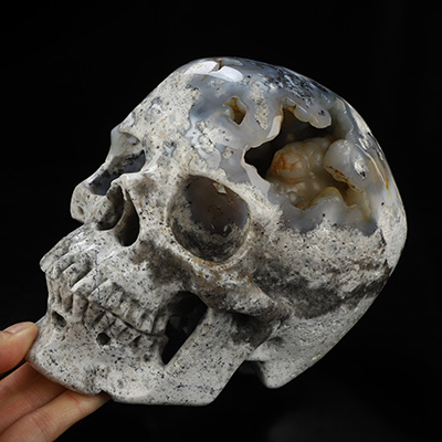 Lifesized 6.7" Flower Agate Geode Hand Carved Crystal Skull, Super Realistic, Crystal Healing
