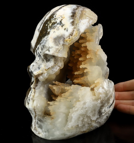 Aug 18, 2026 ACSAD (A Crystal Skull a Day) - The Living Cave - 6.6" Agate Geode Hand Carved Crystal Skull Fine Art Sculpture, Crystal Healing