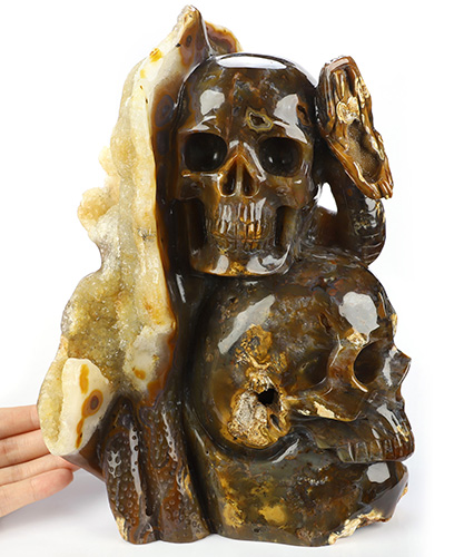 10.3" Premium Brazilian Agate Hand Carved Crystal Skull and Snake Fine Art Sculpture, Crystal Healing