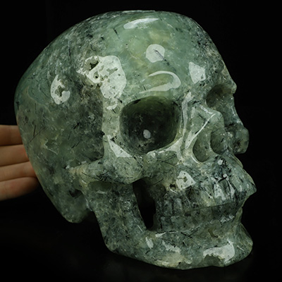 Lifesized 6.9" Prehnite Hand Carved Crystal Skull, Super Realistic, Crystal Healing