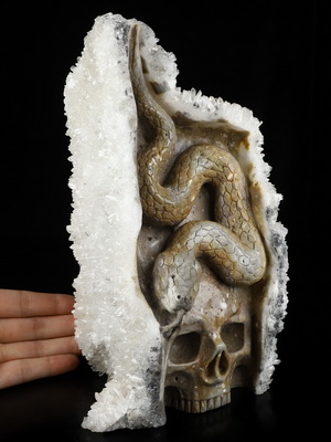 8.9" Quartz rock druse Hand Carved Crystal Skull with Snake Fine Art Sculpture, Crystal Healing