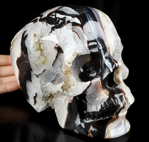Lifesized 6.9" Black Zebra Agate Hand Carved Crystal Skull, Super Realistic, Crystal Healing