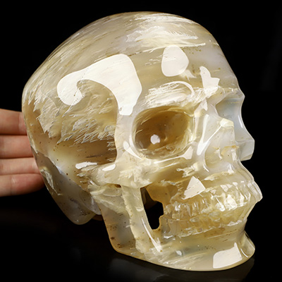 July 27, 2026 ACSAD (A Crystal Skull a Day) - Veins of Time - Lifesized 6.0" Moss Agate Hand Carved Crystal Skull, Super Realistic, Crystal Healing