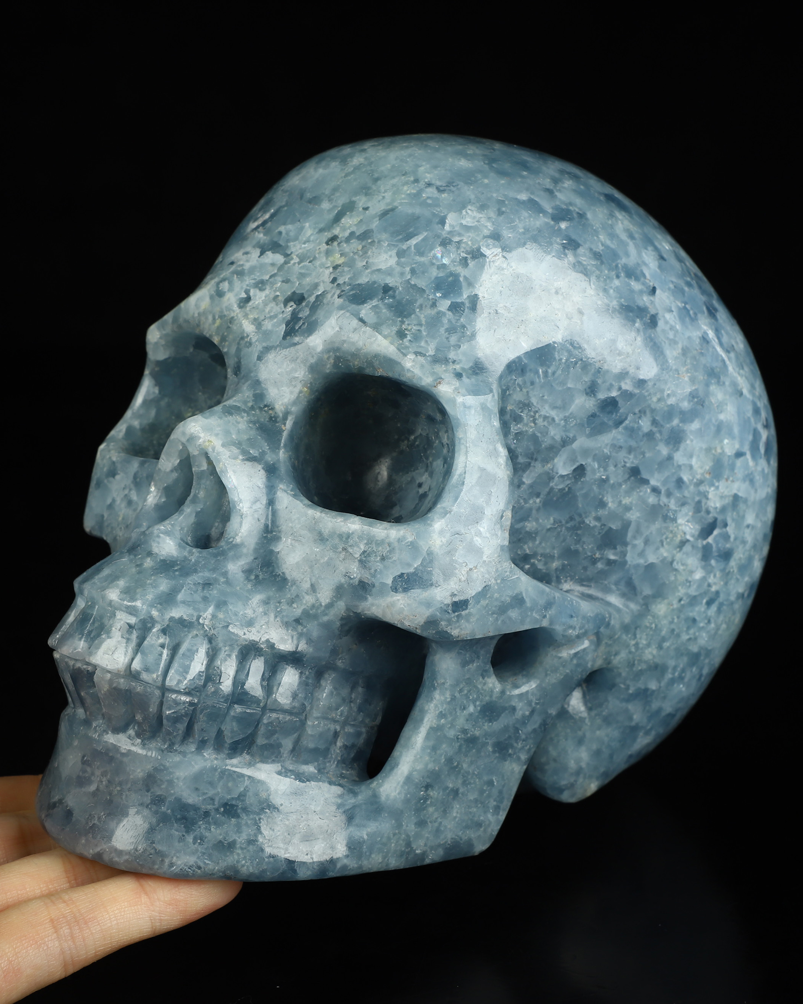 Lifesized 6.9" Blue Calcite Hand Carved Crystal Skull, Realistic, Crystal Healing