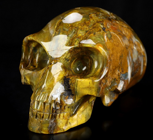 8.8" New Pietersite Hand Carved Crystal Elongated Mayan Alien Skull Sculpture, Crystal Healing