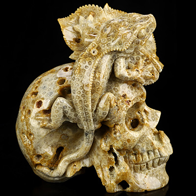 June 29, 2026 ACSAD (A Crystal Skull a Day) - The Solar Frill - Carved 5.7" Coral Fossil Crystal Skull With A Frilled Lizard Fine Art Sculpture, Crystal Healing