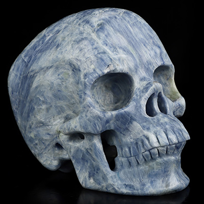 June 30, 2026 ACSAD (A Crystal Skull a Day) - The Arctic Aura - Gemstone 5.0" Kyanite Carved Crystal Skull, Super Realistic, Crystal Healing
