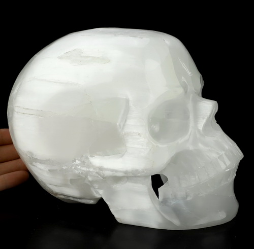 Lifesized 7.4" Selenite Hand Carved Crystal Skull, Super Realistic, Crystal Healing