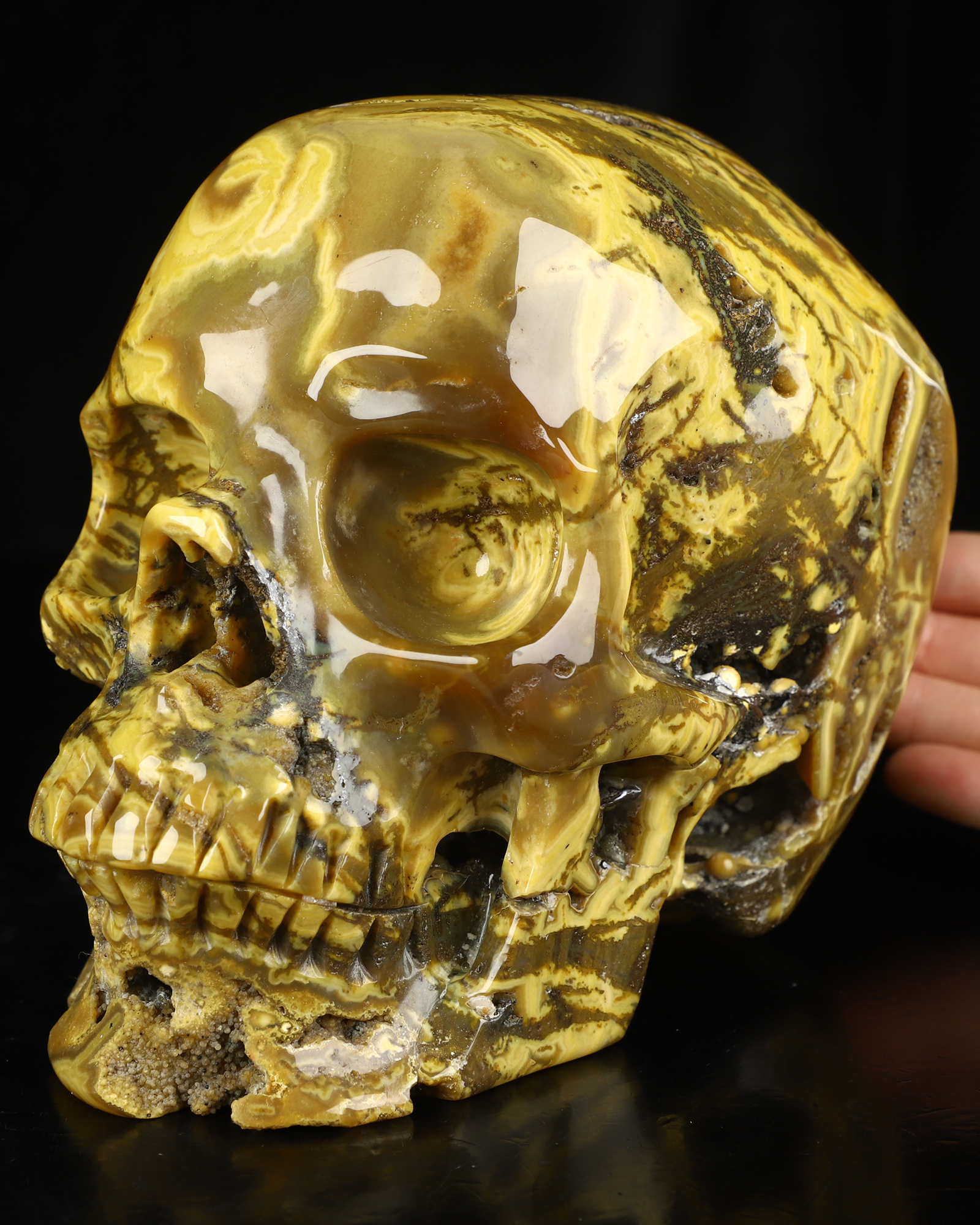 Lifesized 6.8" Agate Hand Carved Crystal Skull, Super Realistic, Crystal Healing