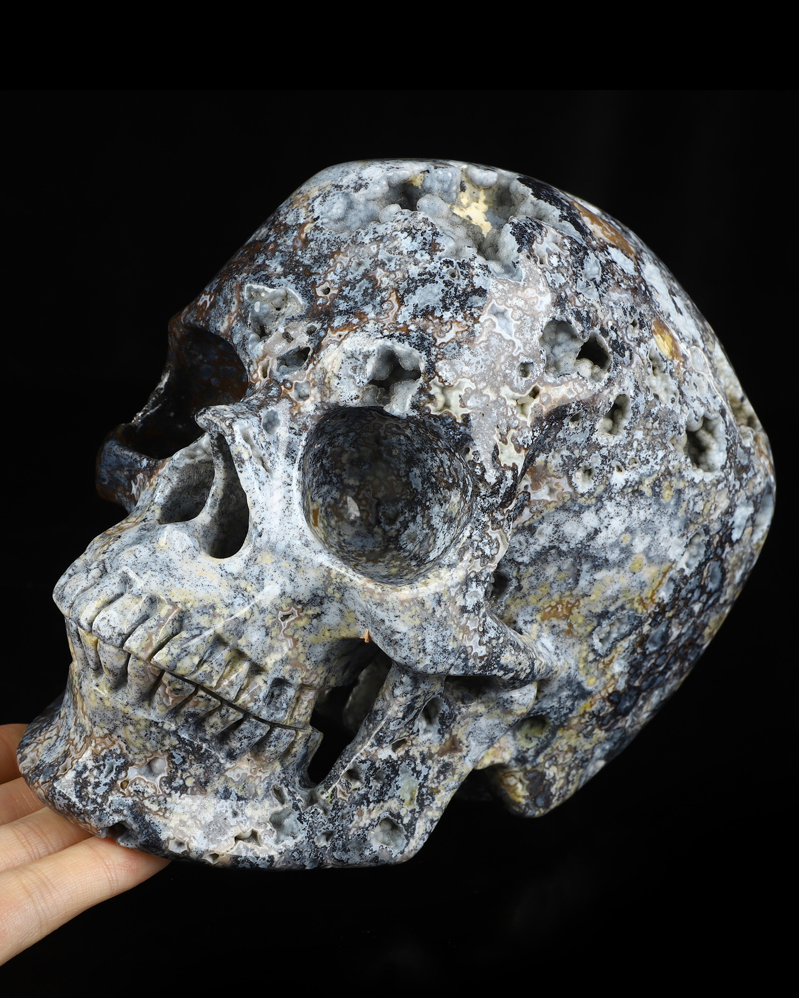 Sept 7, 2026 ACSAD (A Crystal Skull a Day) - Silent Current - Lifesized 6.8" Blue Ocean Agate Hand Carved Crystal Skull, Super Realistic, Crystal Healing