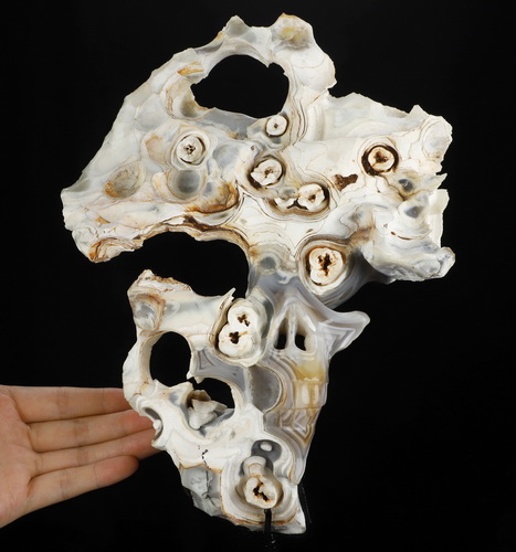Sept 28, 2026 ACSAD (A Crystal Skull a Day) - This, Too, Is Life. - 10.1" Banded Agate Hand Carved Creative Crystal Skull Fine Art Sculpture, Crystal Healing