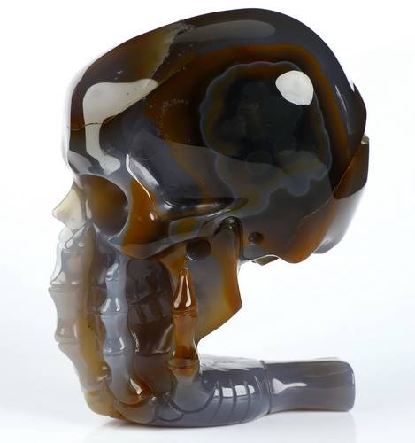 The Thinker---4.0" Premium Brazilian Agate Hand Carved Crystal Skull & Skeletal Hand Sculpture, Crystal Healing