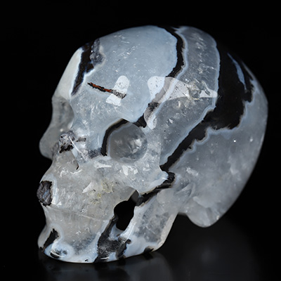 2.1" Black Zebra Agate Hand Carved Crystal Skull, Super Realistic, Crystal Healing