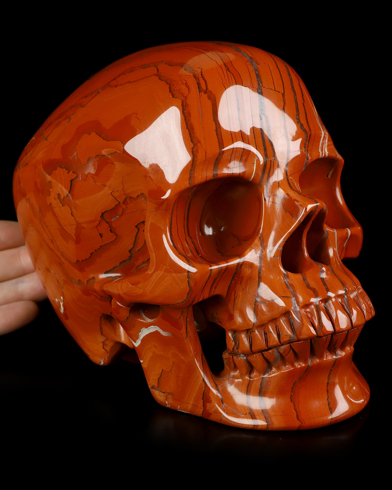 Lifesized 6.8" Red Jasper Hand Carved Crystal Skull, Super Realistic, Crystal Healing