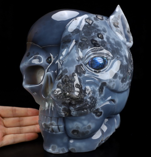 Sept 29, 2026 ACSAD (A Crystal Skull a Day) - We Were Never Entirely Human - 8.1" Agate Geode Hand Carved Leopard & Crystal Skull Fine Art Sculpture with Labradorite Inlay Eye, Crystal Healing