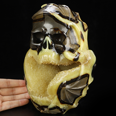 7.6" Dragon Septarian Stone Geode Hand Carved Crystal Skull Fine Art Sculpture, Crystal Healing