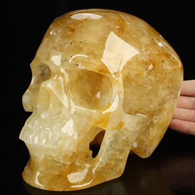 Lifesized 6.9" Golden Healer Quartz Hand Carved Crystal Skull, Super Realistic, Crystal Healing