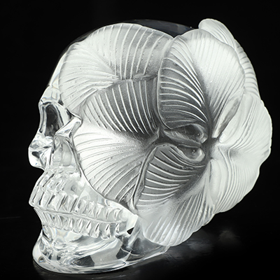 5.1" K9 Crystal Hand Carved Crystal Skull and Flower Fine Art Sculpture, Crystal Healing