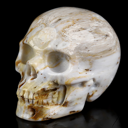 2.0" Petrified Wood Hand Carved Crystal Skull, Realistic, Crystal Healing