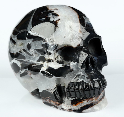 3.5" Black Zebra Agate Hand Carved Crystal Skull, Realistic, Crystal Healing
