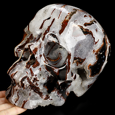 Lifesized 7.5" Black Zebra Agate Hand Carved Crystal Skull, Super Realistic, Crystal Healing