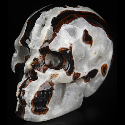 2.0" Black Zebra Agate Hand Carved Crystal Skull, Realistic, Crystal Healing