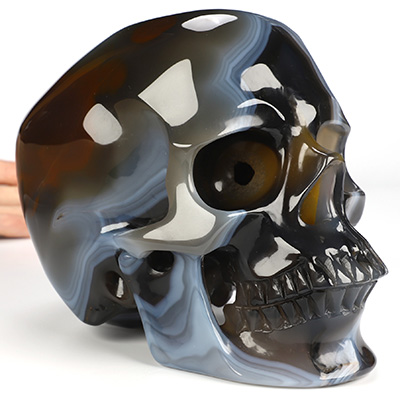 Lifesized 6.4" Premium Brazilian Agate Hand Carved Crystal Skull, Super Realistic, Crystal Healing