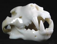 Custom Order, Superbly Handcrafted Huge 3.4LB White Jade Carved Crystal Lion Skull
