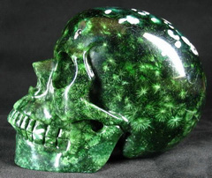 Unusual Huge 5.2" Green Coral Stone Carved Crystal Skull, Realistic