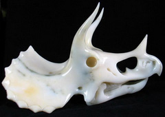 AMAZING 7.8" White Jade Carved Crystal Dinosaur Triceratops Skull