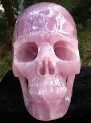Unique 13" Rose Quartz Carved Crystal Skull, Titan Skull