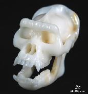 Amazing Super Realistic Super Realistic Carved Crystal Gorilla, Orang Skull