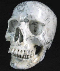 Lifesized 8.0" Howlite Carved Crystal Skull, Super Realistic