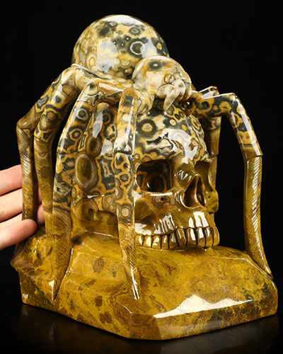 Aug 23, 2026 ACSAD (A Crystal Skull a Day) - The Fate Weaver - 8.1" Ocean Jasper Hand Carved Spider Crystal Skull Fine Art Sculpture, Crystal Healing