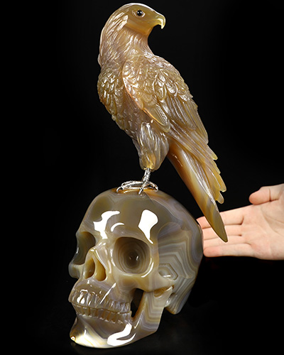 Aug 30, 2026 ACSAD (A Crystal Skull a Day) - Munin’s Gaze - 9.4" Premium Brazilian Agate Hand Carved Raven on Crystal Skull Sculpture with Black Onyx Eyes & Silver-Plated Claws, Crystal Healing