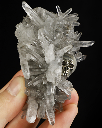 Oct 1, 2026 ACSAD (A Crystal Skull a Day) - Caught Between the Crystals - 3.2" Hand Carved Pyrite Crystal Skull in Quartz Crystal Cluster Specimen Fine Art Sculpture, Crystal Healing