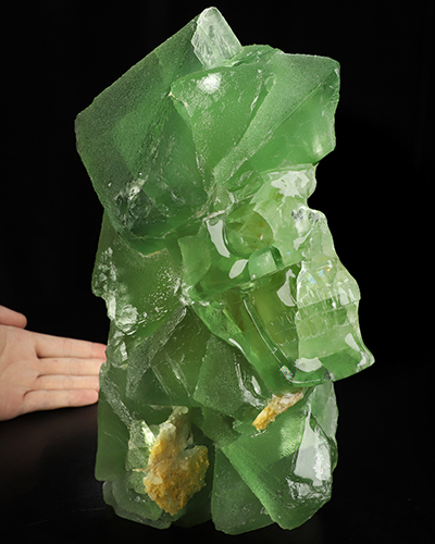 Oct 24, 2026 ACSAD (A Crystal Skull a Day) - Beneath the Green, a World - 11.6" Fluorite Hand Carved Crystal Skull Fine Art Sculpture, Crystal Healing