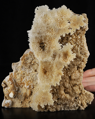 Sept 26, 2026 ACSAD (A Crystal Skull a Day) - Nature Was the Sculptor - 6.3" Hand Carved Scolecite & Mesolite Cluster on Basalt Matrix Specimen Crystal Skull Silhouette Fine Art Sculpture, Crystal Healing  