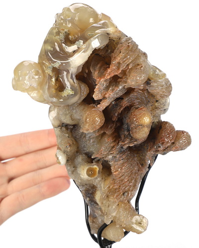 Oct 12, 2026 ACSAD (A Crystal Skull a Day) - No One Leaves Empty-Handed - 6.9" Agate Hand Carved Octopus & Crystal Skull Fine Art Sculpture, Crystal Healing