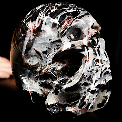 5.6" Black Zebra Agate Hand Carved Nautiloid Cthulhu Crystal Skull Sculpture, Crystal Healing