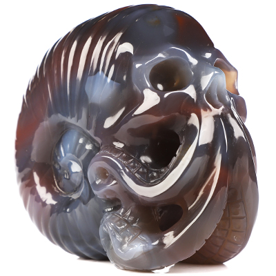 3.5" Mozambique Agate Hand Carved Nautiloid Cthulhu Crystal Skull Sculpture, Crystal Healing