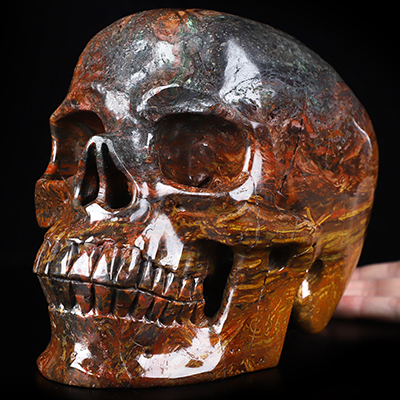 Lifesized 8.2" Petrified Wood Hand Carved Crystal Skull, Super Realistic, Crystal Healing